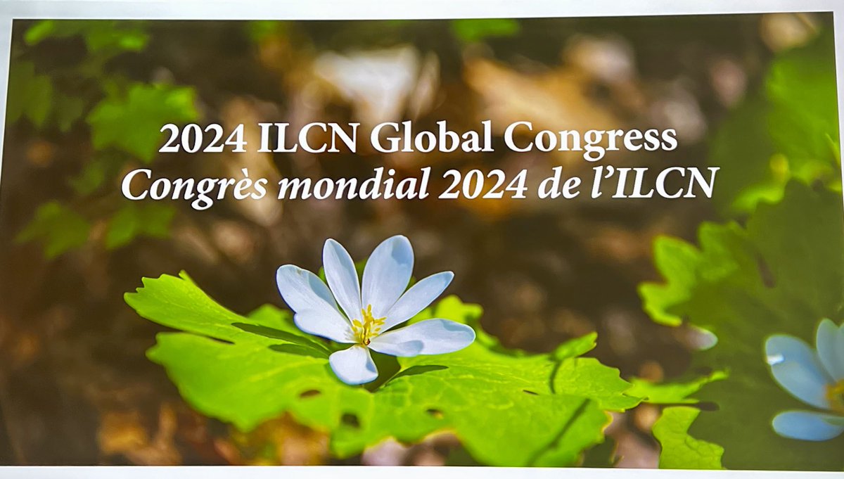 Celebrating 10 years of a great journey at #ILCN2024