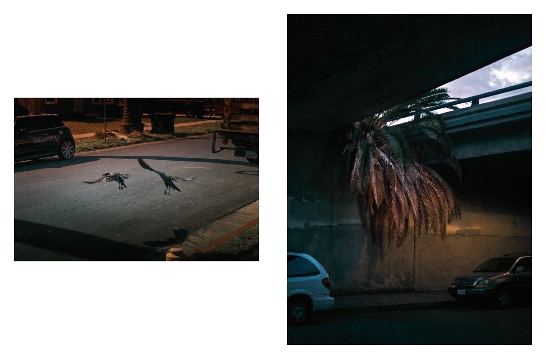 Niall O’Brien tweet media