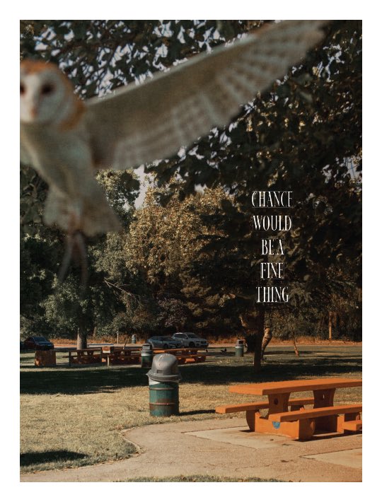 Niall O’Brien tweet media