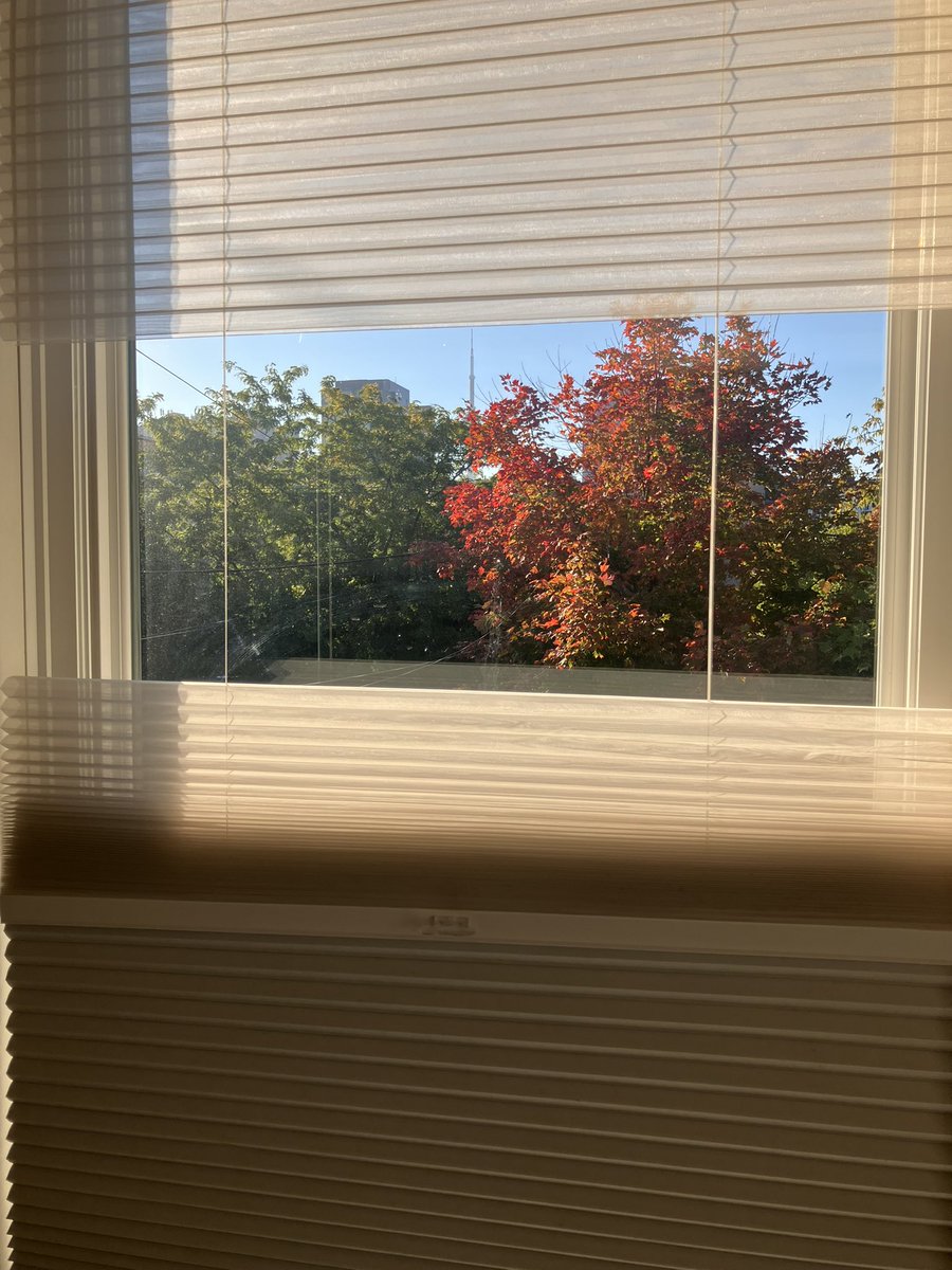 Du rouge à ma fenêtre de Toronto !