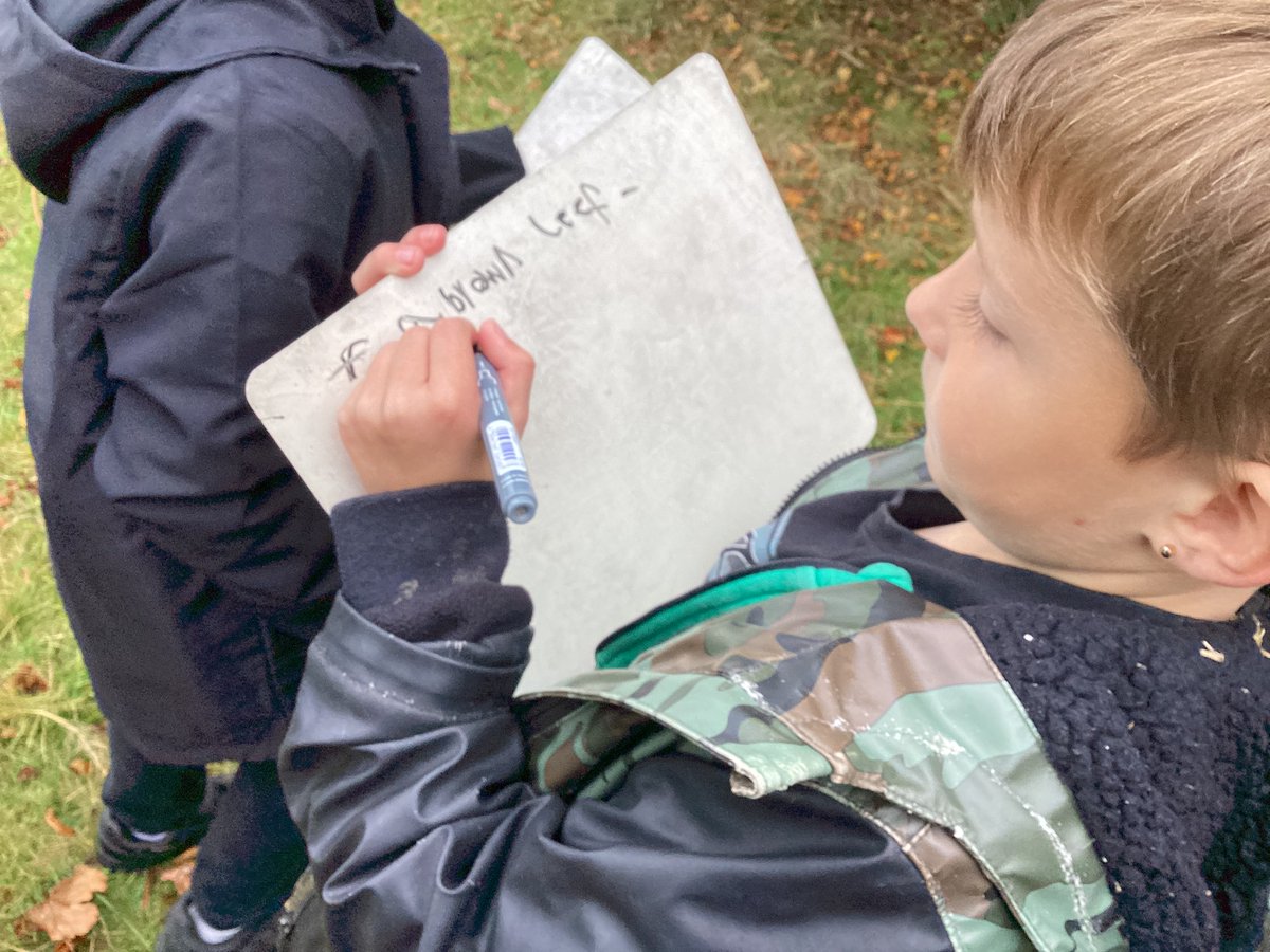 PrimaryDell's tweet photo. This week in forest schools, KS1 collected natural materials. They then described them using adjectives ready for their poetry unit in English this week! #learningatdell https://t.co/09Il7hDTTU