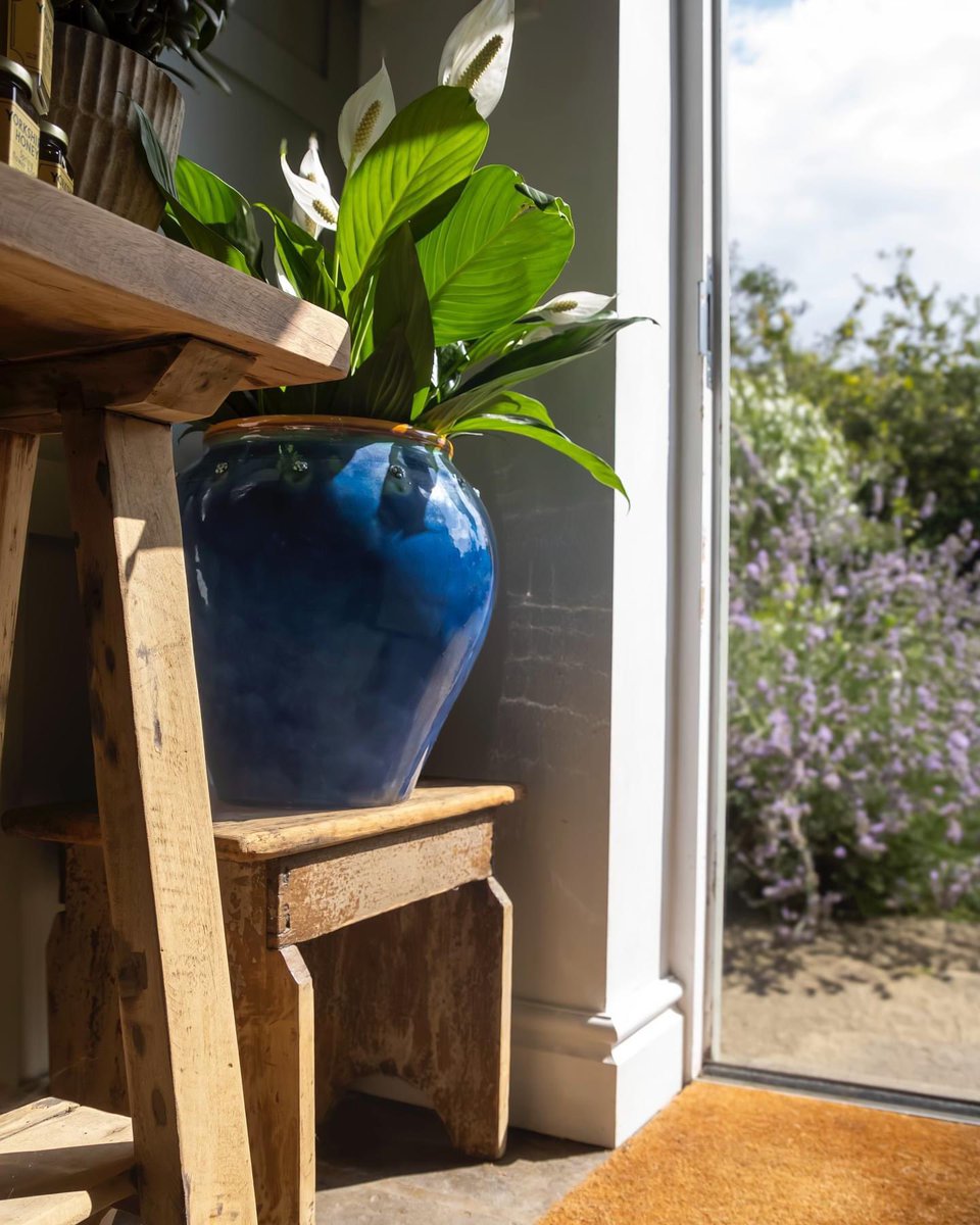 BritishFlowerpots tweet media