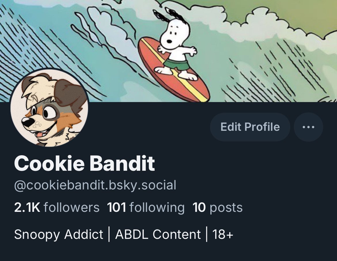 Cookie Bandit tweet media