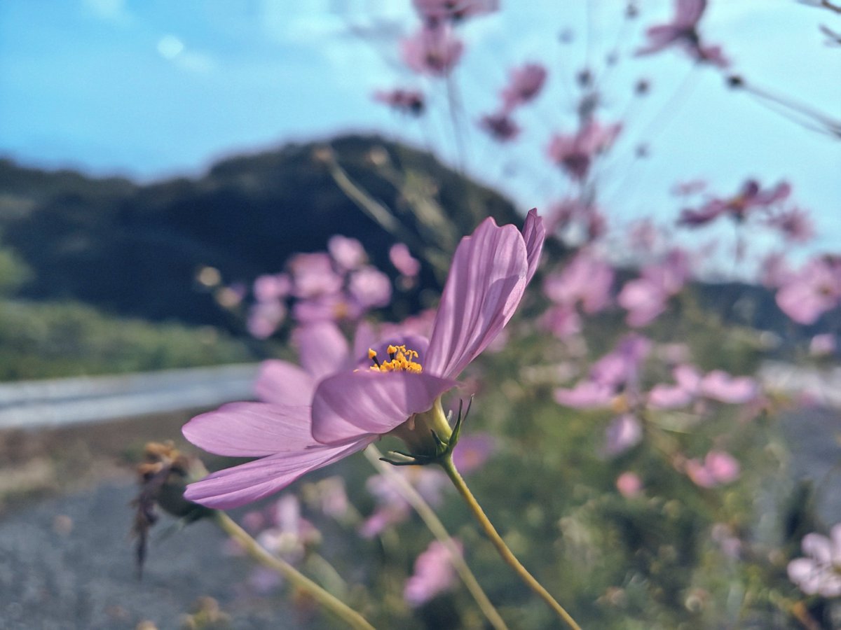 あなたに
見せたくて

どの一瞬も
あますことなく

ねぇ、ちゃんと
届いていますか？

その　青い　そらに