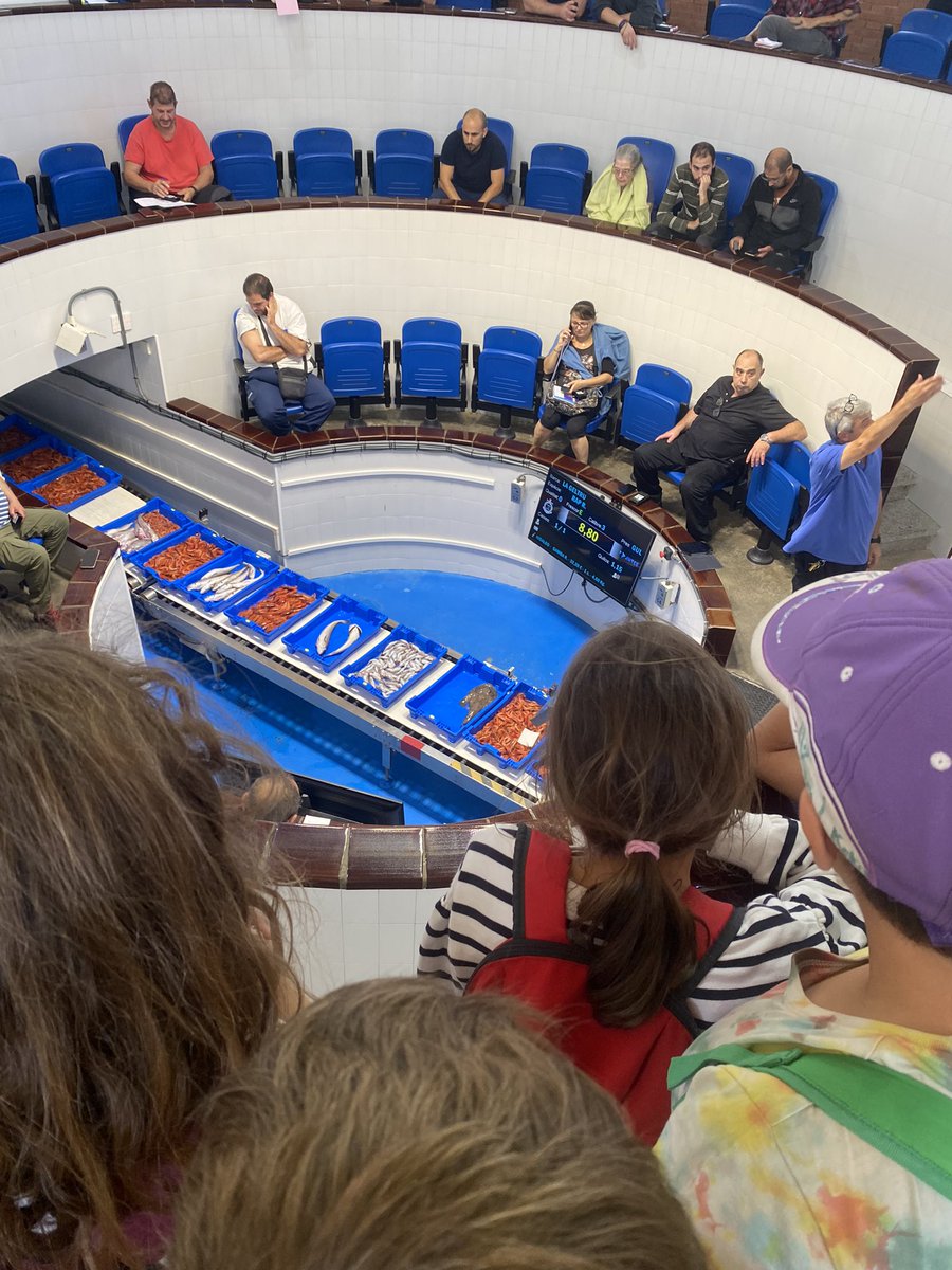 Escola Ítaca tweet media