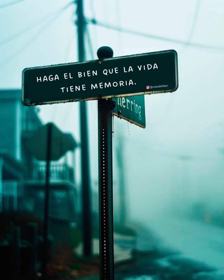 Patricia Gámez (@abogadapgamez) on Twitter photo 