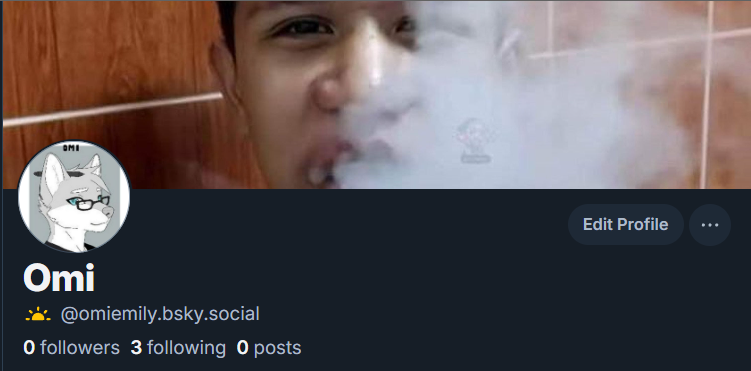 Omi Emily (FoX) (@0miEmily) / Posts and Replies / X