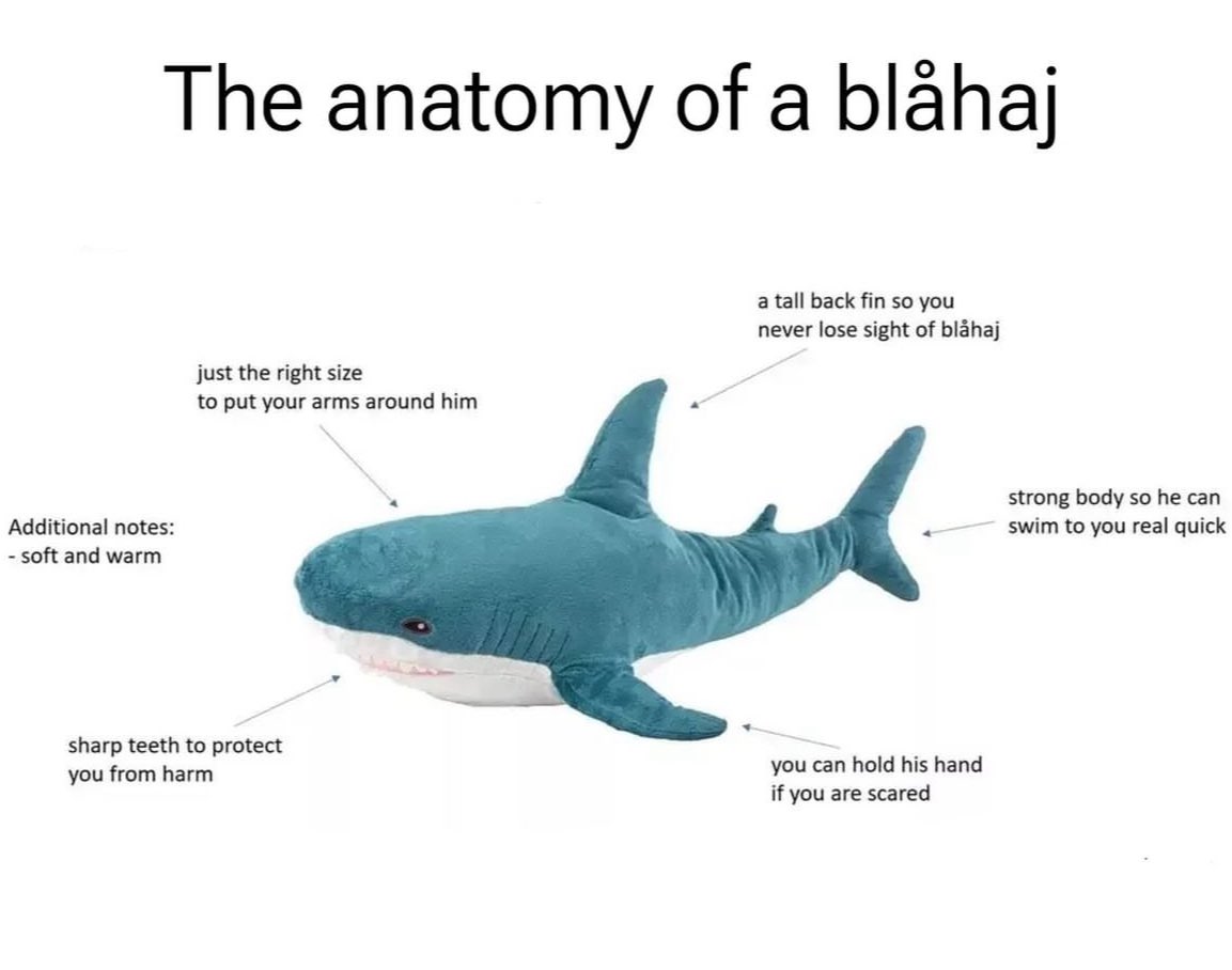 Sharks Daily 🦈 (@sharkseverydayy) on Twitter photo 