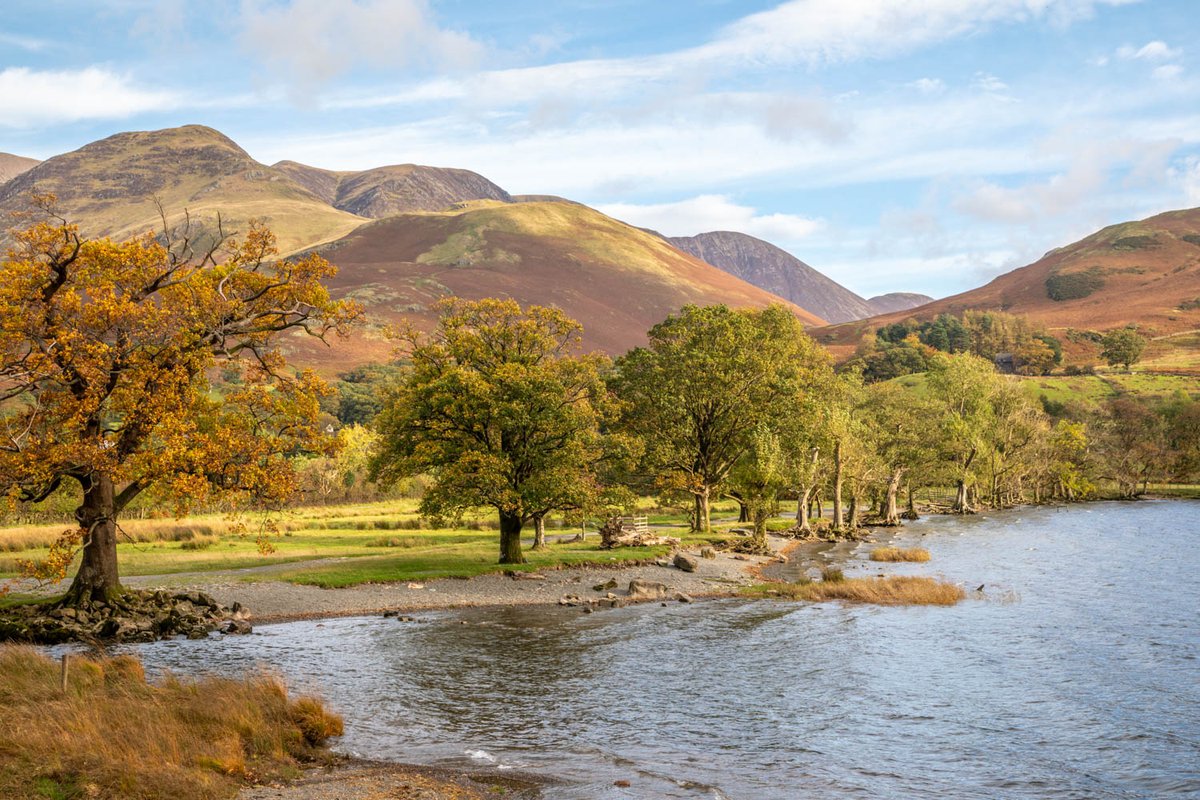 andrewswalks's tweet photo. Trees around Buttermere this morning #LakeDistrict https://t.co/QOEi5UFLa9