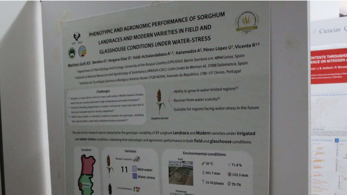 On 16 and 17 October, the Oeiras Experimenta Project attended the ‘VI Spanish Symposium on Physiology and Breeding of Cereals’ in Salamanca, along with other national and international research groups🌾🔎