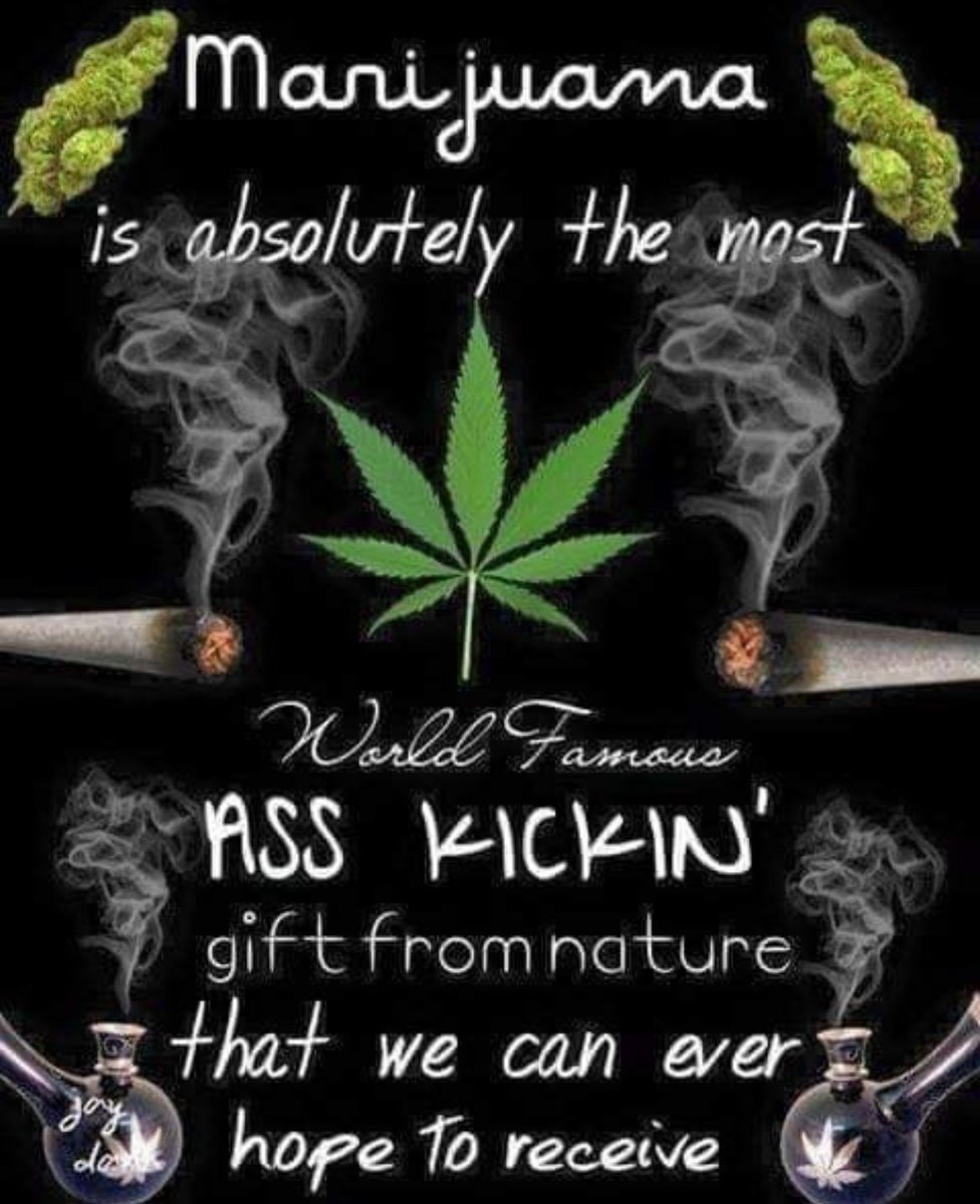 Steph 🇨🇦🌿💨 tweet media