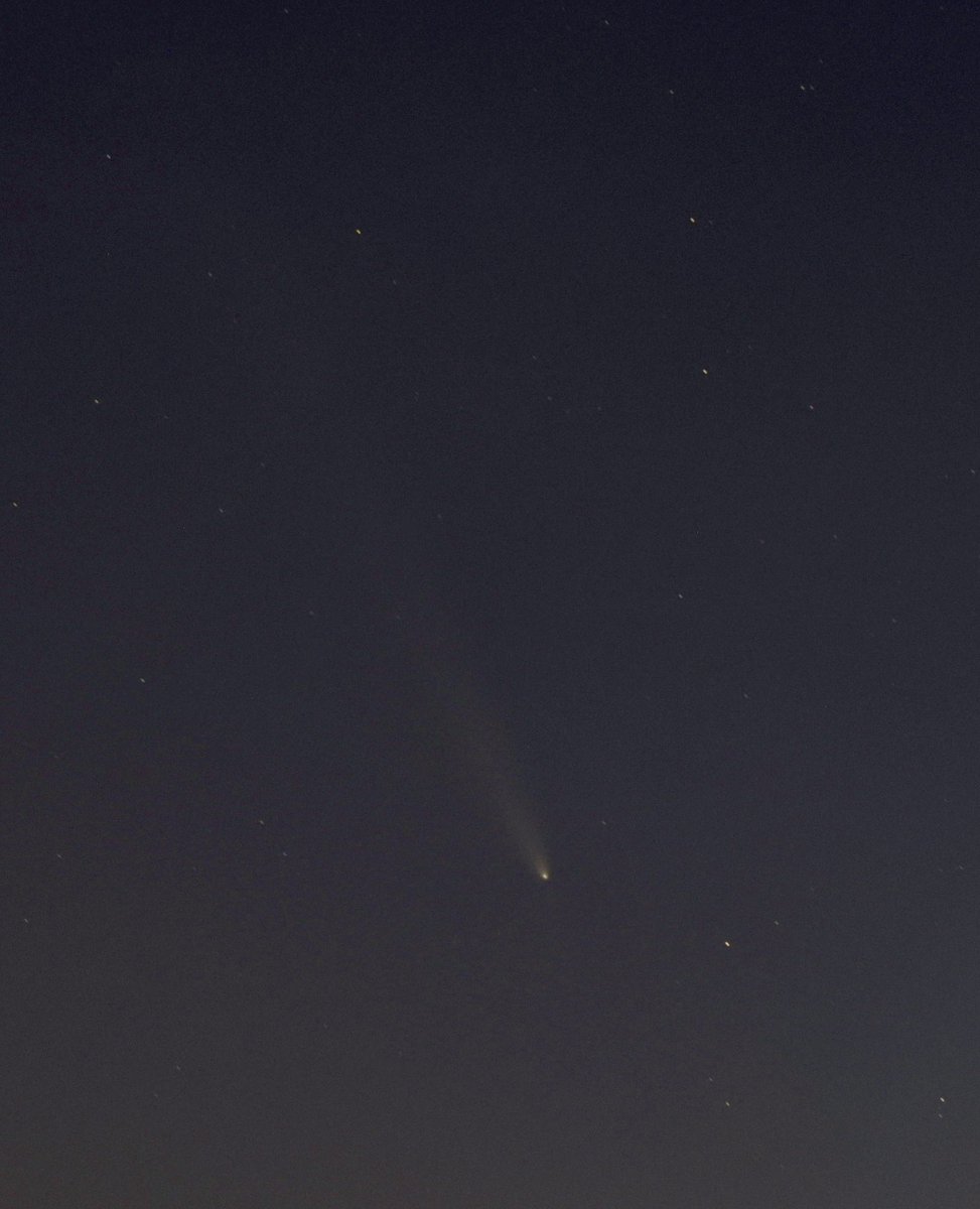 Pat Misur tweet media