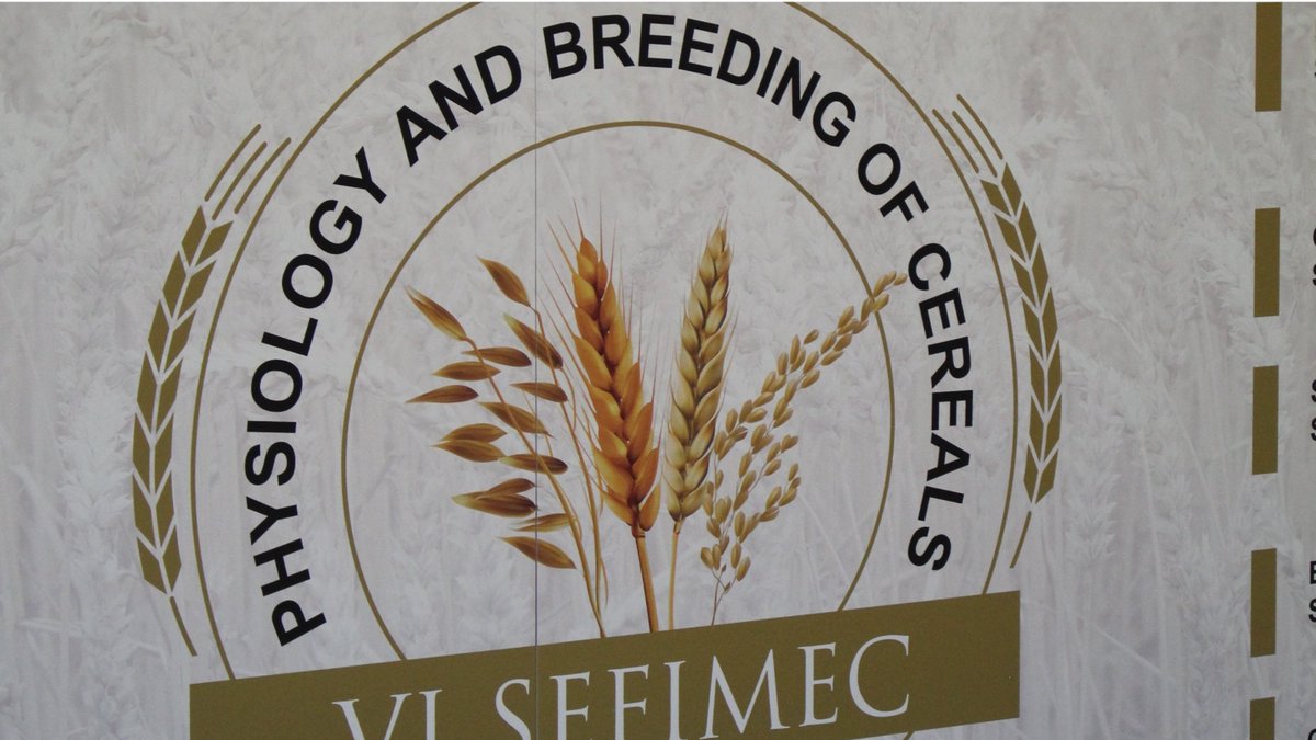 OeirasExp's tweet photo. On 16 and 17 October, the Oeiras Experimenta Project attended the ‘VI Spanish Symposium on Physiology and Breeding of Cereals’ in Salamanca, along with other national and international research groups🌾🔎 https://t.co/ekQKtYOnfq