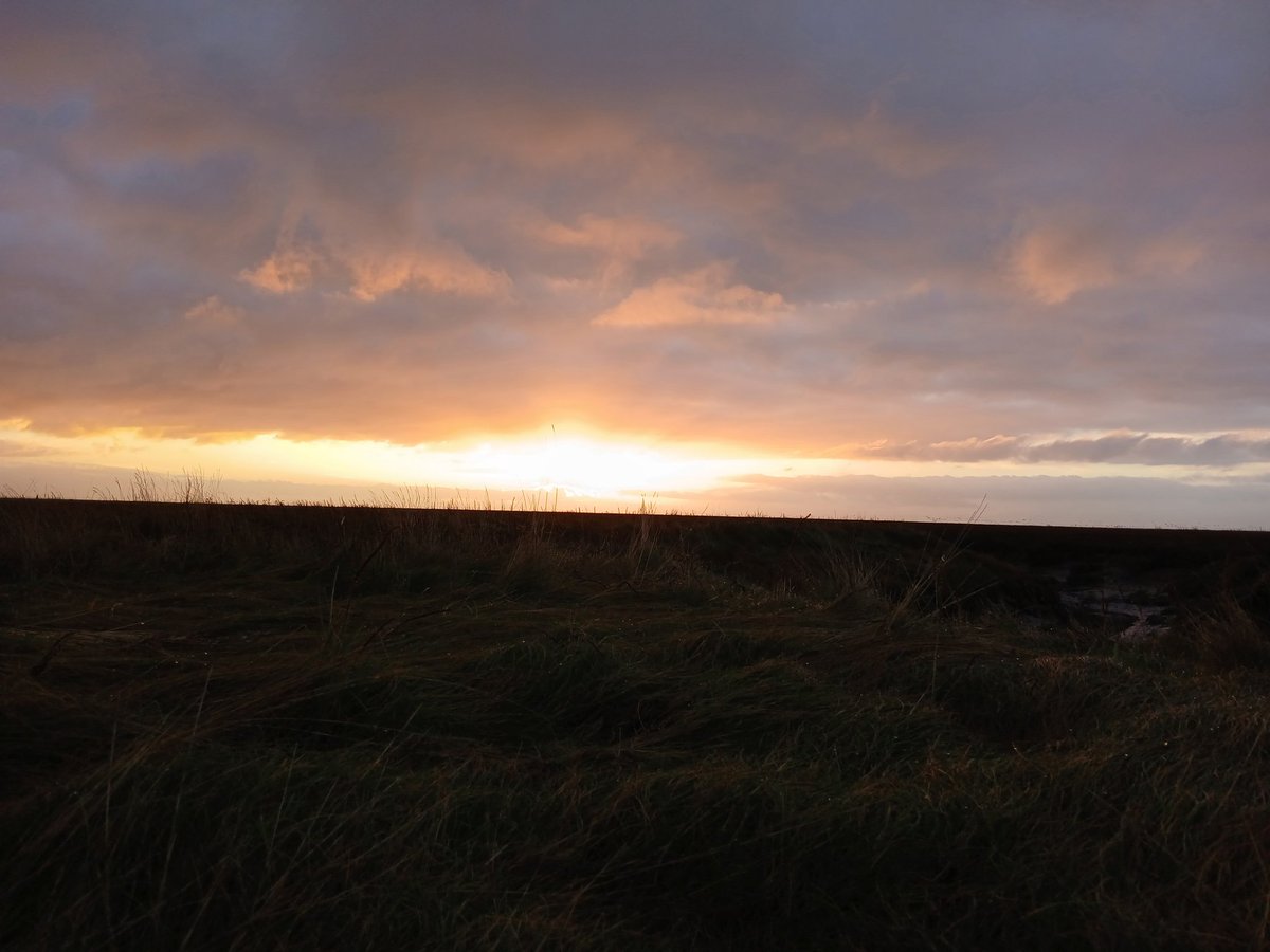 Daveinkelton's tweet photo. Dawn on the merse https://t.co/7AlIbVKdv0