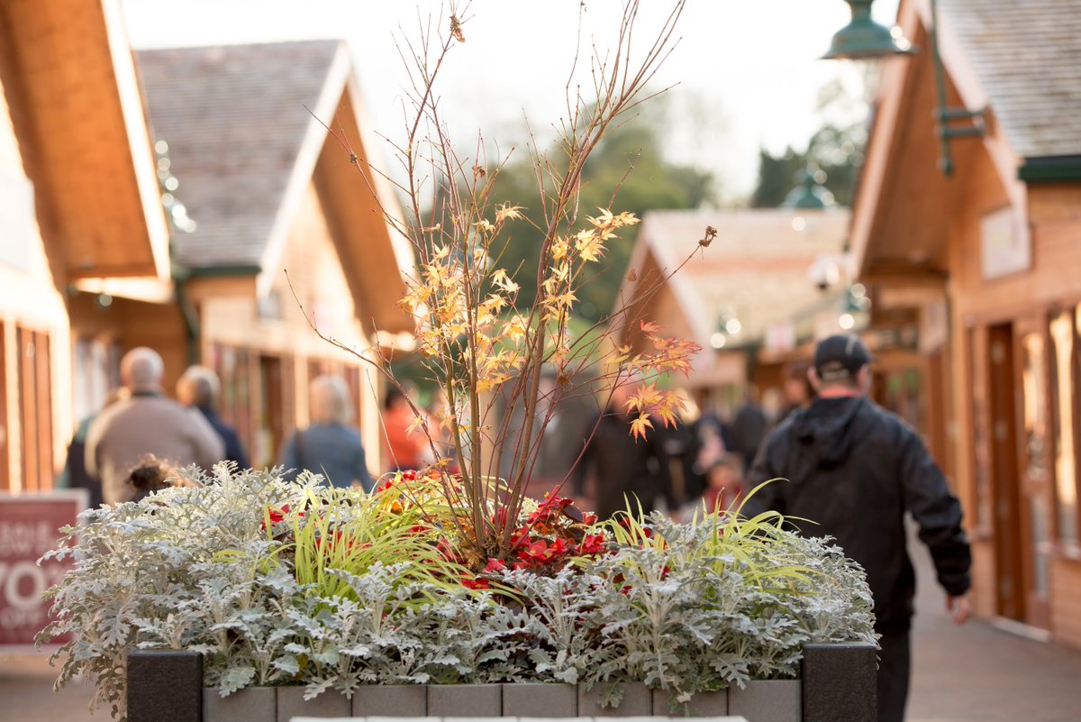 Trentham Estate tweet media