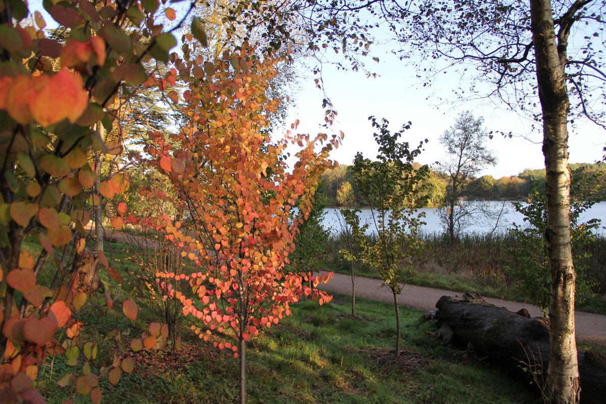 Trentham Estate tweet media