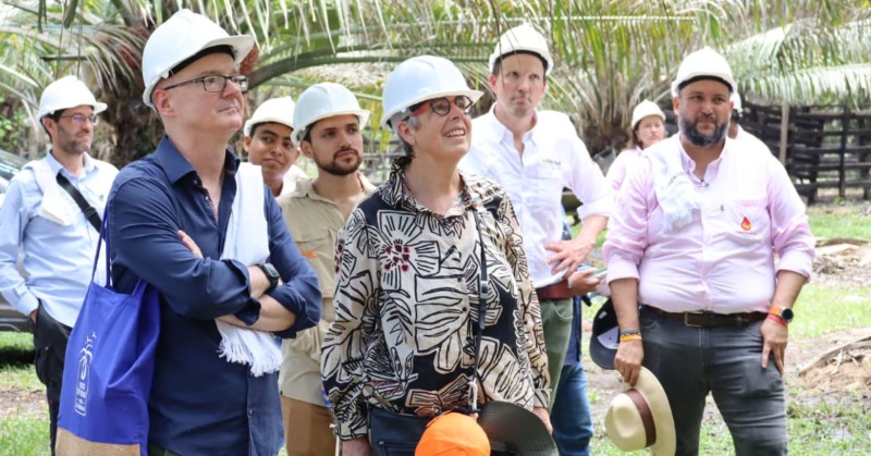 FedepalmaOrg's tweet photo. #ElPalmicultor | ¡Colombia brilla en sostenibilidad! Embajadora de Países Bajos destaca su liderazgo en producción de aceite de palma 👏 

https://t.co/zAvnO08BJV