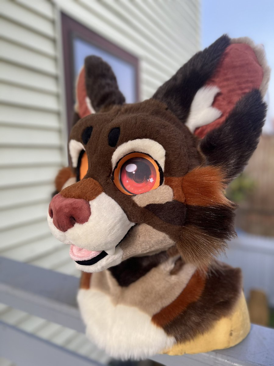 LilySuits's tweet photo. Bidding for moth cat begins at 10 am est October 18th!!! (Today) 

Letting buyer decide final eye color and if the antenna get added or not! Channel link in thread! https://t.co/RlVF3Jv8J7