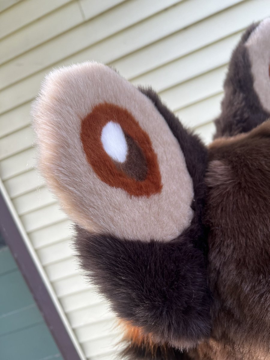 LilySuits's tweet photo. Bidding for moth cat begins at 10 am est October 18th!!! (Today) 

Letting buyer decide final eye color and if the antenna get added or not! Channel link in thread! https://t.co/RlVF3Jv8J7