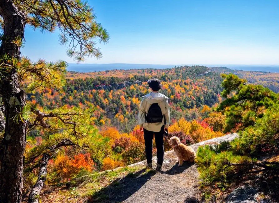 Margie Sherman (@asurionmargie) on Twitter photo 🍁🍃🍂Don’t let “Fall Hikes” turn into “device emergencies” for your customers! Offer ProtectAdvantage to help replace or repair their phones!🧡💛<a href="/DaleB1/">Dale S. Brown</a><a href="/404girl/">Betsy Francis</a> <a href="/jillmill321/">Jillian Miller</a><a href="/team_oselett/">Danielle Oselett</a> <a href="/Bh7316/">Brittany Harrison</a> <a href="/realmccoy1988/">Connor McCoy</a> <a href="/_MightyMAS/">Mid-Atlantic States Team</a> 🍁🍃🍂Don’t let “Fall Hikes” turn into “device emergencies” for your customers! Offer ProtectAdvantage to help replace or repair their phones!🧡💛<a href="/DaleB1/">Dale S. Brown</a><a href="/404girl/">Betsy Francis</a> <a href="/jillmill321/">Jillian Miller</a><a href="/team_oselett/">Danielle Oselett</a> <a href="/Bh7316/">Brittany Harrison</a> <a href="/realmccoy1988/">Connor McCoy</a> <a href="/_MightyMAS/">Mid-Atlantic States Team</a> 