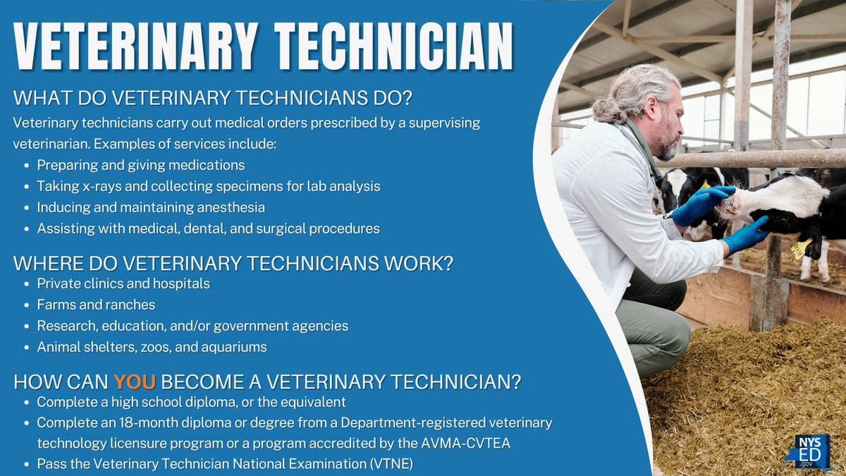 NYSEDNews's tweet photo. It’s National Veterinary Technician Week!
Do you enjoy working with animals? Veterinary Technicians perform medical procedures and are effective communicators. If you have these skills, explore a career as a Veterinary Technician! https://t.co/XNk3EkSXKN #ProfessionProfile https://t.co/LznNstcTck