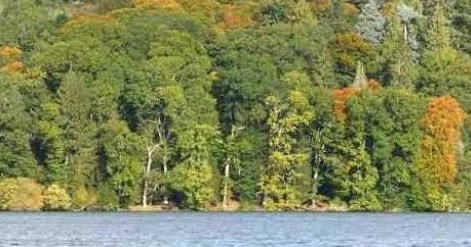 tourscotland's tweet photo. Tour #Scotland #Autumn travel video Blog of #Butterstone #Loch on visit and trip to #Perthshire. The A923 main road from #Dundee to #Dunkeld passes to the north of this #Scottish loch https://t.co/CdvFsz22o5 https://t.co/JhwDFuyGF3
