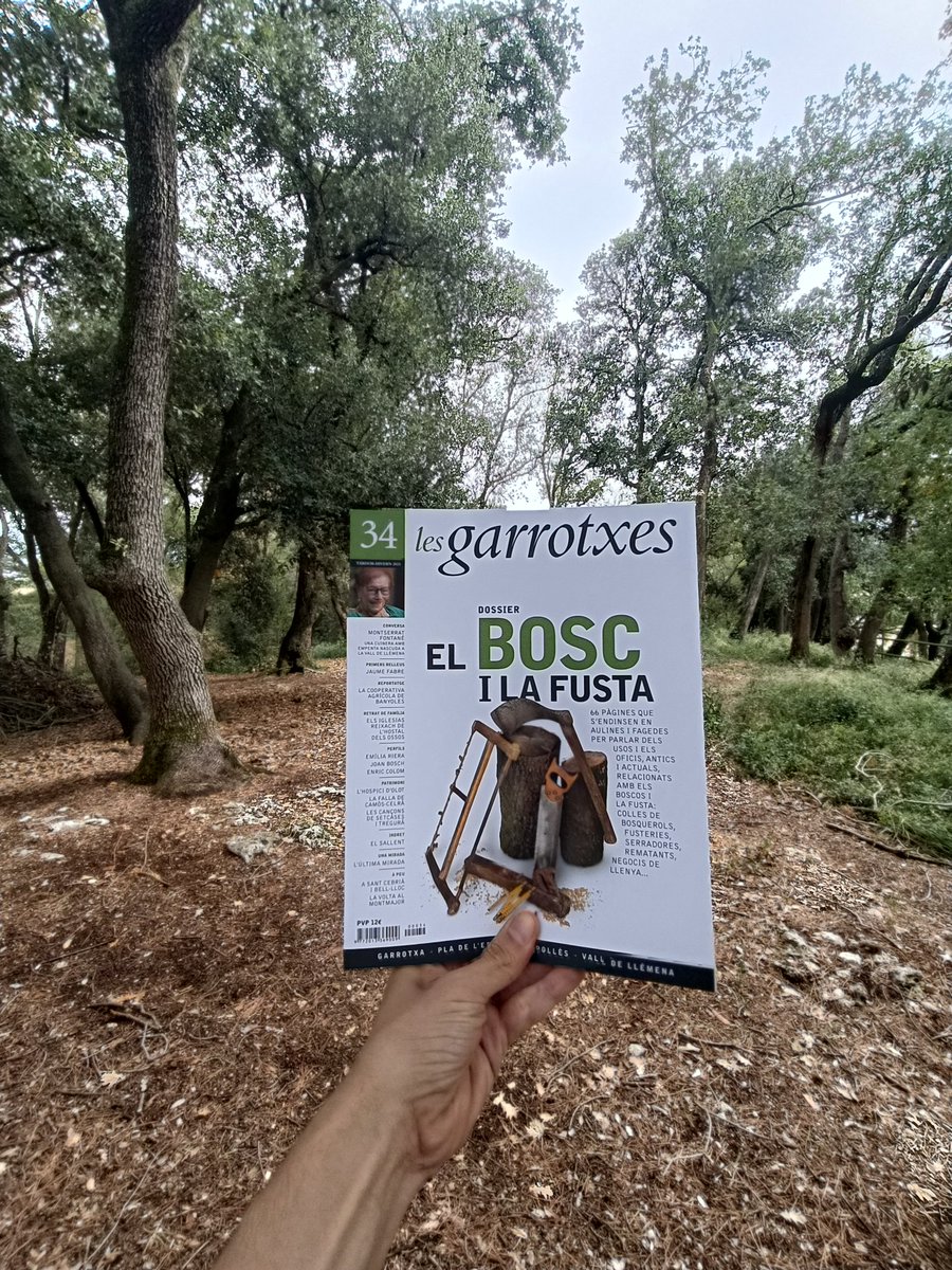 És com xarbotar allò de plantar un arbre, escriure un llibre i tenir un fill. Algunes felicitats són semestrals.