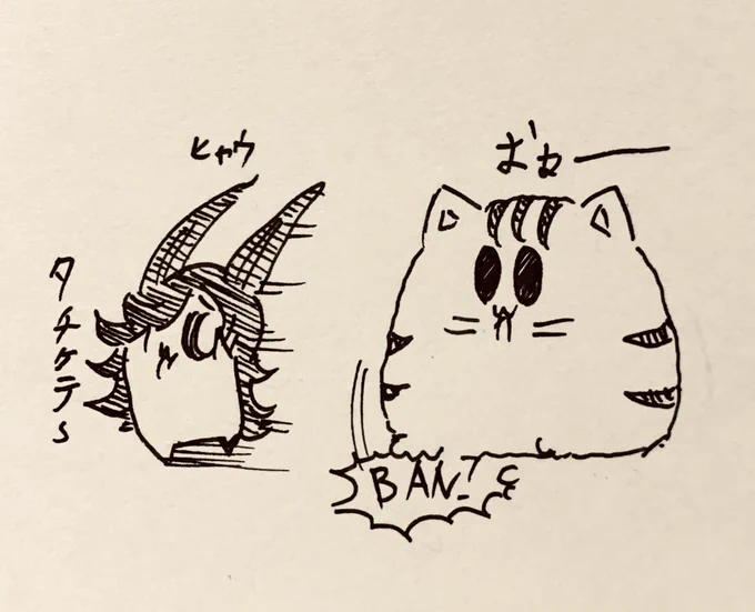 ライス達をGから守る最強生物もち虎さん🐯 