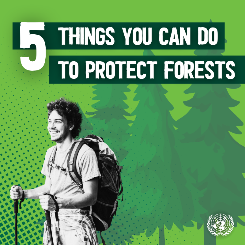 UNinBrussels's tweet photo. On this day of the Sonian Forest, #Brussels' inhabitants are heading to the forest to participate in activities and events to celebrate the day. By adopting these good habits, they can help preserve the forest.  #Soignes | #Zoniënwoud