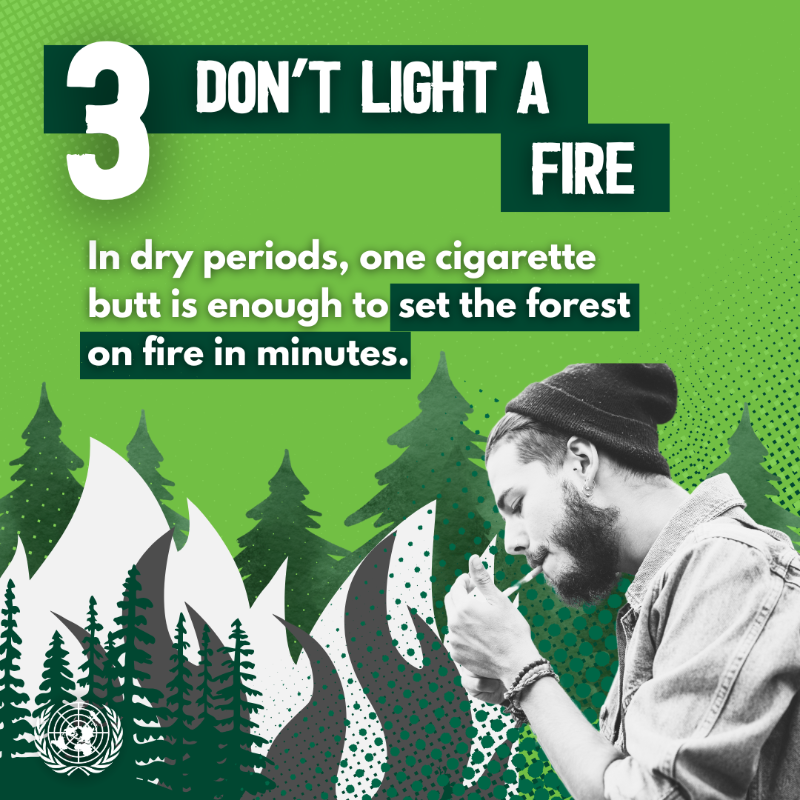 UNinBrussels's tweet photo. On this day of the Sonian Forest, #Brussels' inhabitants are heading to the forest to participate in activities and events to celebrate the day. By adopting these good habits, they can help preserve the forest.  #Soignes | #Zoniënwoud