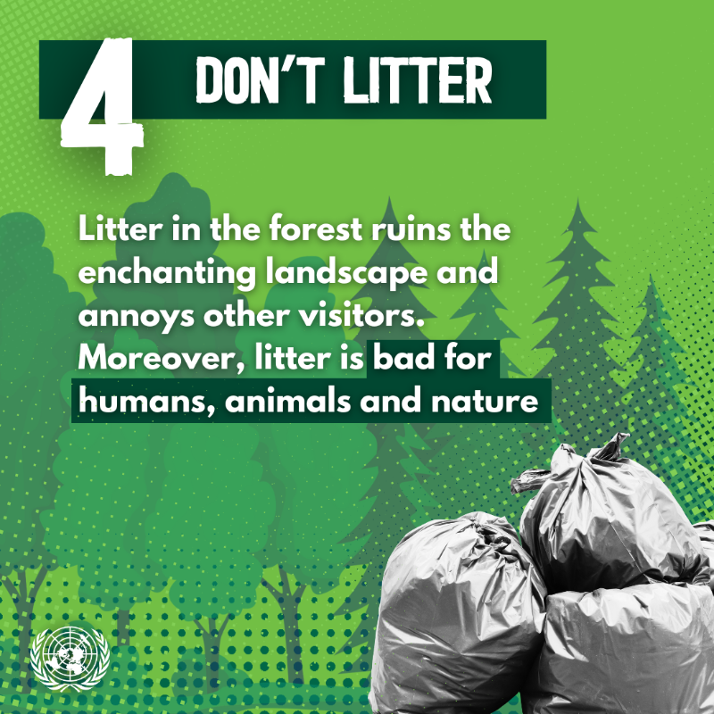 UNinBrussels's tweet photo. On this day of the Sonian Forest, #Brussels' inhabitants are heading to the forest to participate in activities and events to celebrate the day. By adopting these good habits, they can help preserve the forest.  #Soignes | #Zoniënwoud