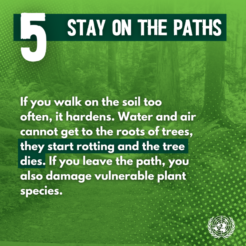 UNinBrussels's tweet photo. On this day of the Sonian Forest, #Brussels' inhabitants are heading to the forest to participate in activities and events to celebrate the day. By adopting these good habits, they can help preserve the forest.  #Soignes | #Zoniënwoud