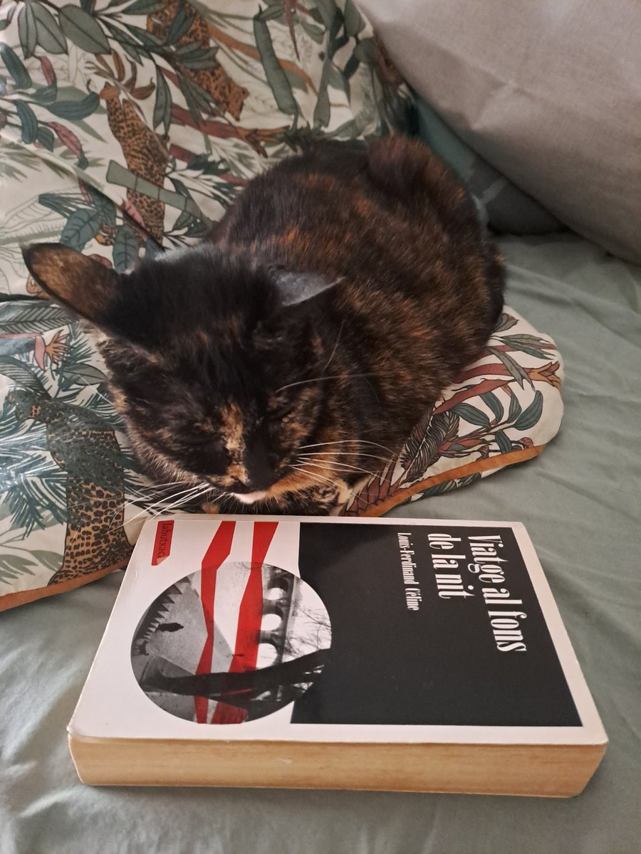 Que diu que s'està preparant la pròxima sessió del #GrupdeLectura del clàssics de <a href="/LaFatal_/">La Fatal</a>, que si pot venir