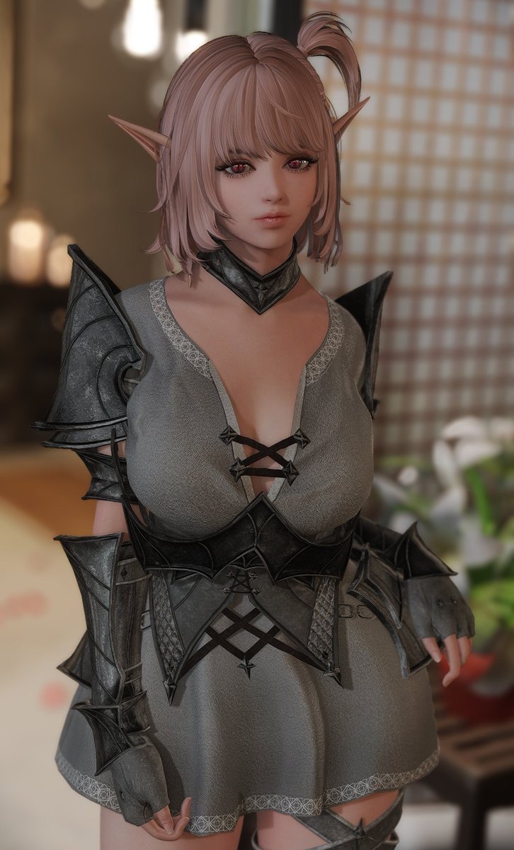 sacchantan's tweet photo. [ELLE] Knight Elaine✨
#skyrimSE https://t.co/3reiTKYTjR