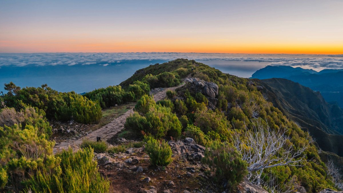 weather2travel's tweet photo. Ever stepped into a 20-million-year old rainforest or witnessed a sunrise above the clouds? #NorthernMadeira is packed with bucket-list experiences &amp; jaw-dropping sights. Here are @JournoJessB’s six reasons to visit the island’s wild side https://t.co/W78gYoH6mo @visitmadeira https://t.co/h62hm8BvBy