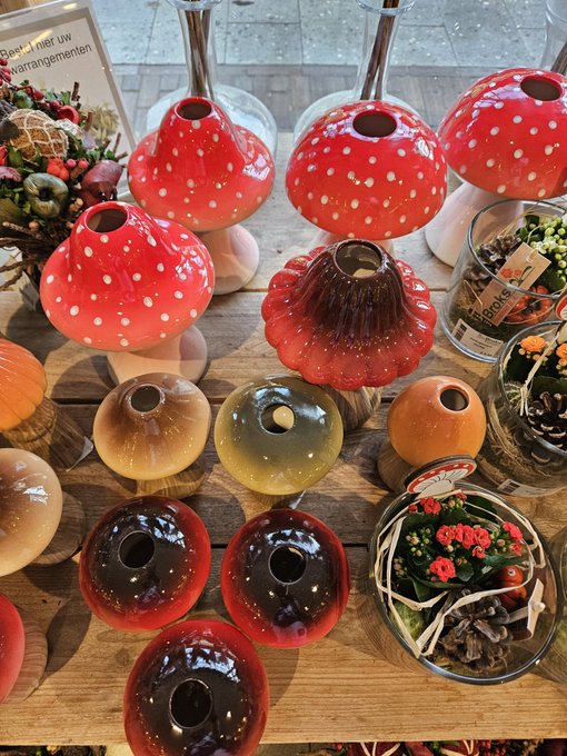 Spotted these beauties while out today 🌱💧🍄 They&rsquo;d make my space even more magical... but I&rsquo;d much prefer<a href="/tag/findom"class="tags"><span>#findom</span></a><a href="/tag/spoilme"class="tags"><span>#spoilme</span></a><a href="/tag/paypig"class="tags"><span>#paypig</span></a>