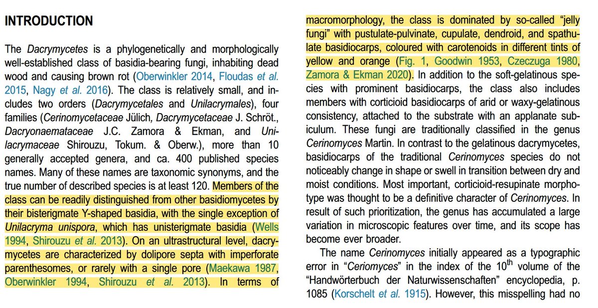 Anton Savchenko tweet media
