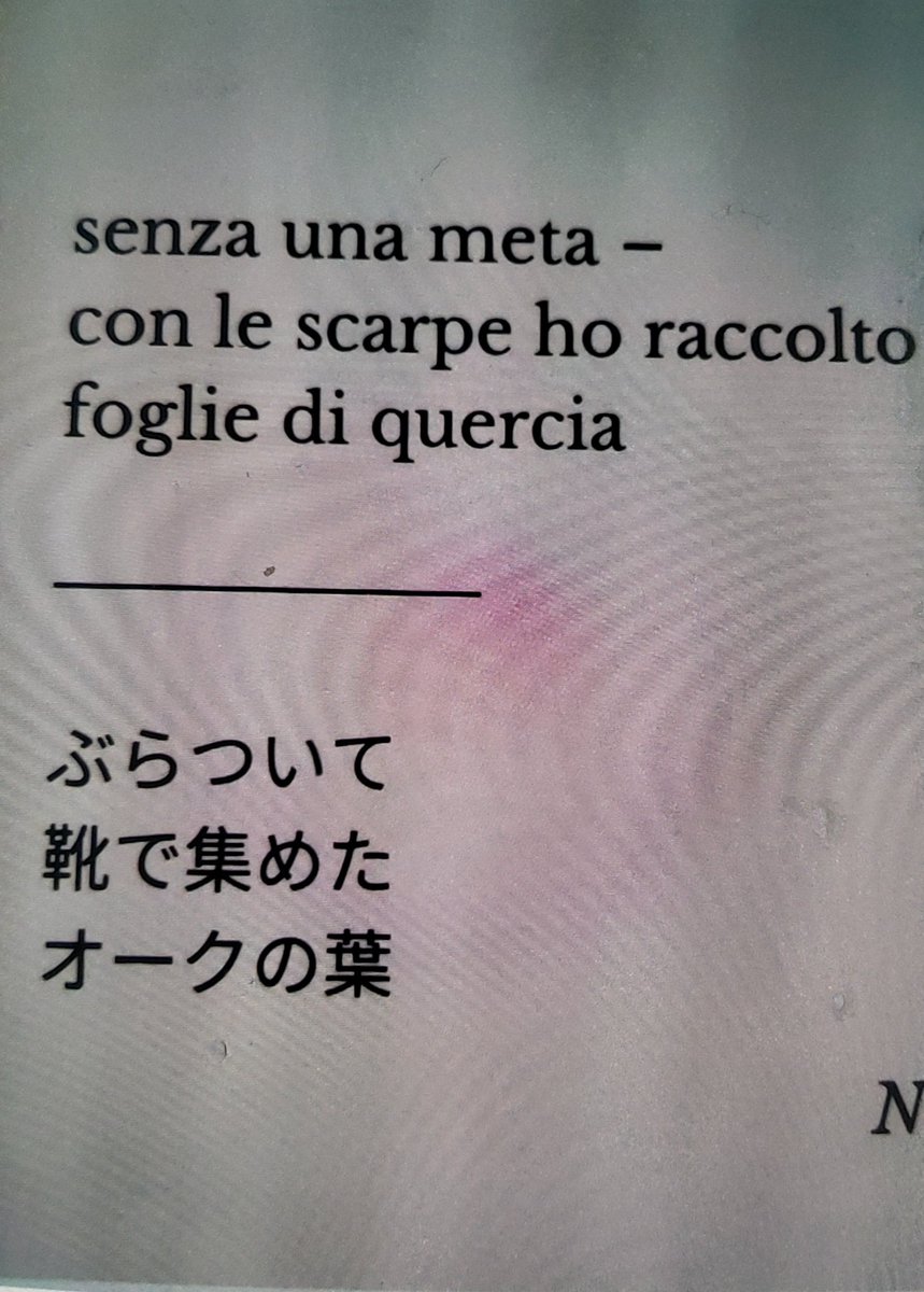 engezzi's tweet image. 