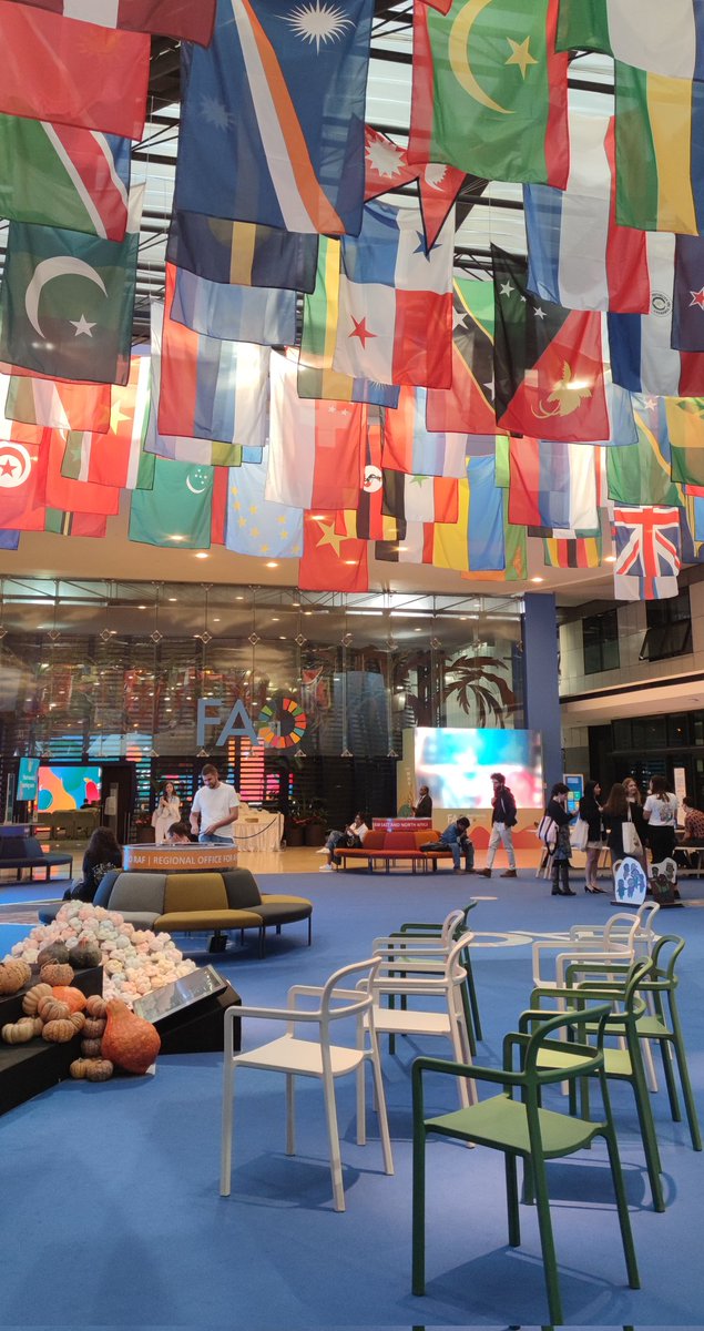 Lucilia Lorusso (@lucilia_lorusso) on Twitter photo Day 5 ✨
Inclusive Agrifood Systems Innovation: From Ideas to Impact 💪🏼
And Closing Ceremony. Thanks to #WFF24 <a href="/World_FoodForum/">World Food Forum</a> <a href="/FAO/">Food and Agriculture Organization</a> <a href="/FAOInnovation/">FAO Innovation</a> Day 5 ✨
Inclusive Agrifood Systems Innovation: From Ideas to Impact 💪🏼
And Closing Ceremony. Thanks to #WFF24 <a href="/World_FoodForum/">World Food Forum</a> <a href="/FAO/">Food and Agriculture Organization</a> <a href="/FAOInnovation/">FAO Innovation</a>
