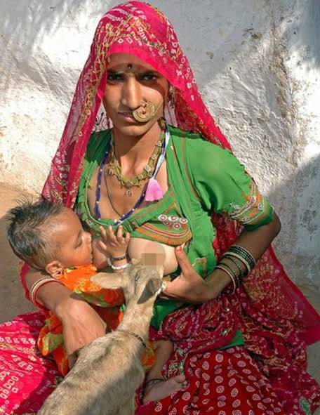 poojabishnoi36's tweet photo. बिश्नोई समाज के बारे में आपकी राय बताओ? https://t.co/Qnw7bMUn1U