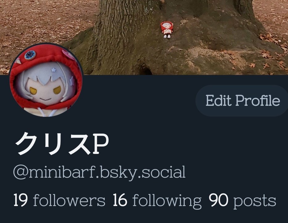 クリス🌭 tweet media