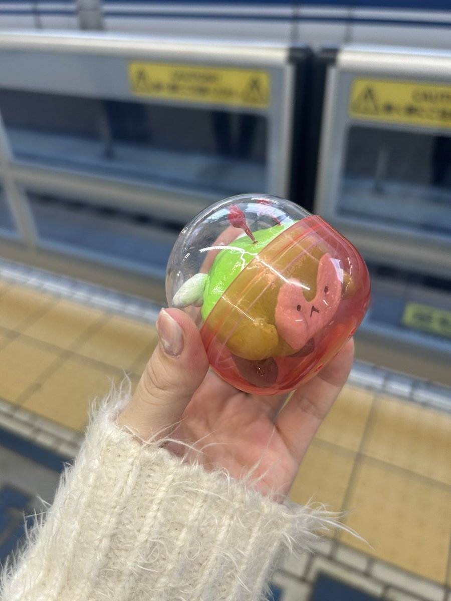 羊毛の方々から得た知恵