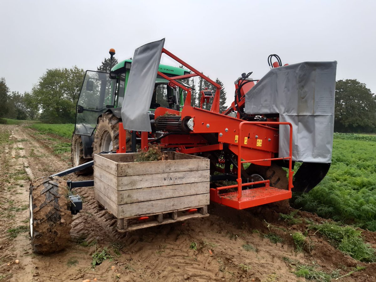 Polyvalence in action: the 𝗣𝟯𝗖𝗟 𝗣𝗿𝗼𝗳𝗶 in carrots as well as turnips! 🚜🌱
This Dewulf P3CL Profi with hydraulic box lift shows its versatility. With its robust, compact design and precise adaptation to different root crops, the harvester remains the preferred choice.