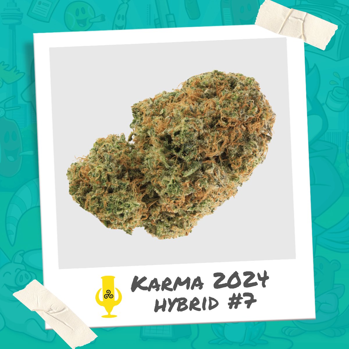 Presenting Hybrid # 7