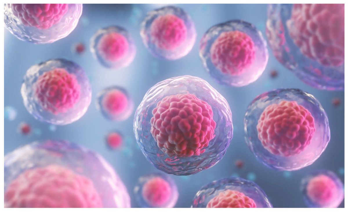 Mammary_journal's tweet image. Special collection on Lineage Tracing, edited by Alexandra van Keymeulen & @WenjunGuoLab, is open! 📝Submit your manuscripts on stem cells in mammary development, homeostasis & regeneration, or origins of breast cancer & tumor progression! 🔬
link.springer.com/collections/be…