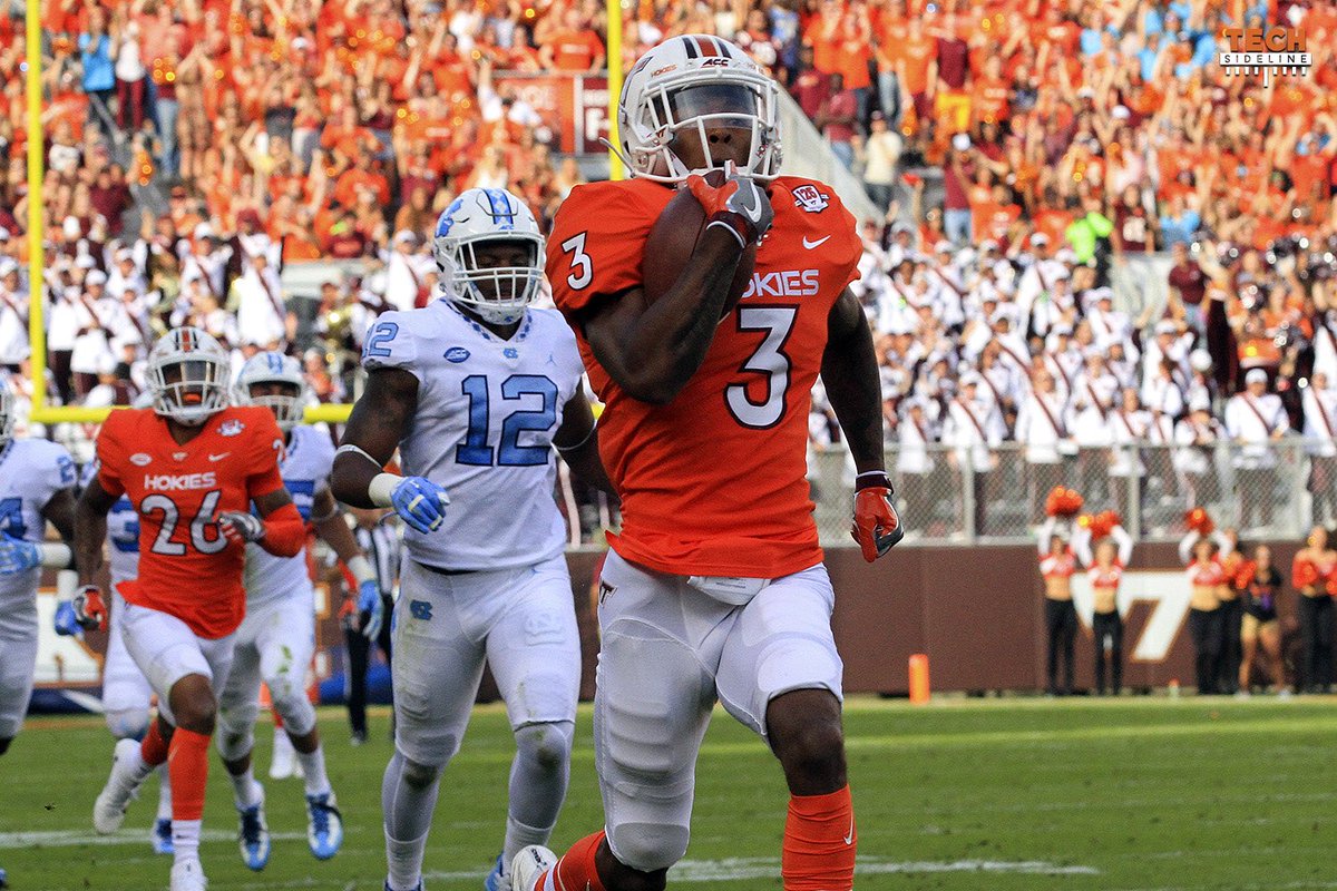 Treadmill Horse tweet media