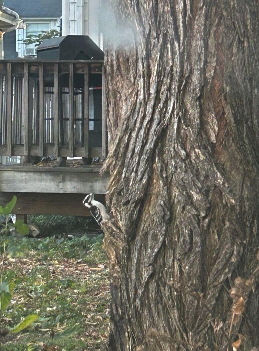 Regi Trotter tweet media