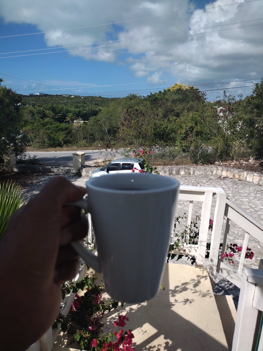 whiteshane5806's tweet image. Sipping on some green tea ☕—the perfect way to start my morning right. Fresh vibes and good energy only. #MorningRitual #GreenTeaLife #FreshStart #GoodVibesOnly