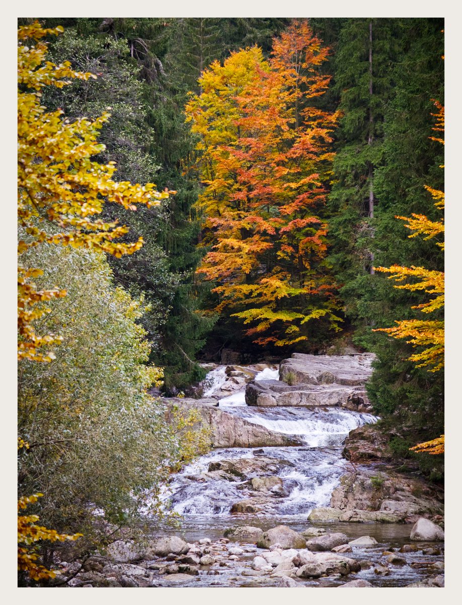 RedkiwiH's tweet photo. Another one from Spindleruv Mlyn.. 

#spindleruvmlyn #czechrepublic #landscapephotography #nature #outdoors https://t.co/Kcpl8EZ0s9