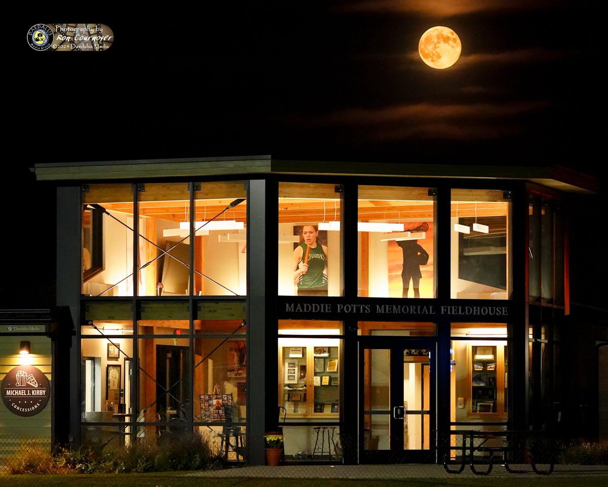 Daedalus Media Group tweet media